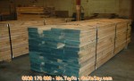 Giá gỗ sồi mỹ