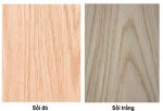 Kết cấu và tính chất của gỗ sồi (oak)